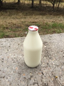organicsemi